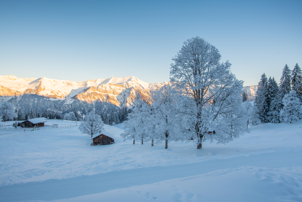 Hotel-Brienz-Winter-verschneite-Bergwelt